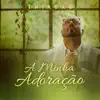 Thiagão - Minha Adoração - Single